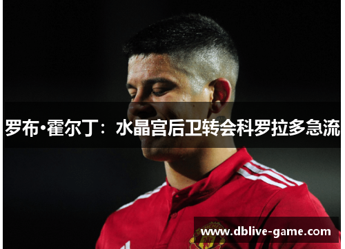 罗布·霍尔丁：水晶宫后卫转会科罗拉多急流